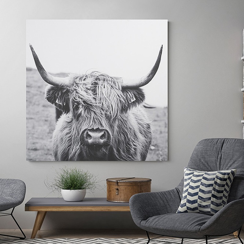 25% off on WallArt Scottish Highland Cattle | OneDayOnly