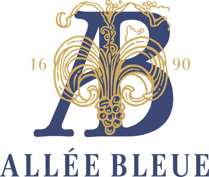 BLUE BLANC GOUDE La Marseillaise 洋書 17% off on Allée Bleue 6x Sauvignon Blanc 2024 | OneDayOnly