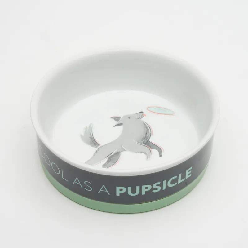 40 Off On Furside Grey Ceramic Pet Bowl OneDayOnly 40-off-on-furside-grey-ceramic-pet-bowl-onedayonly