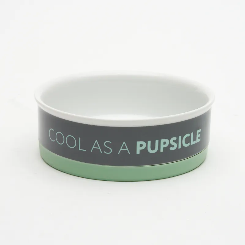 40 Off On Furside Grey Ceramic Pet Bowl OneDayOnly 40-off-on-furside-grey-ceramic-pet-bowl-onedayonly