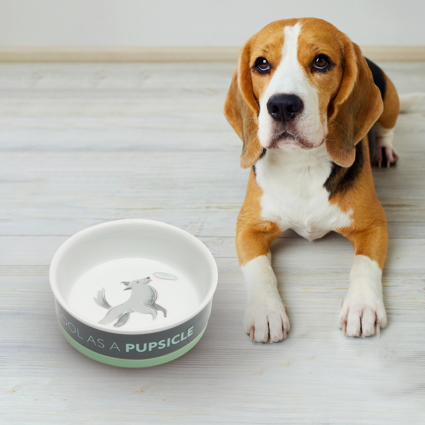 Grey Ceramic Pet Bowl