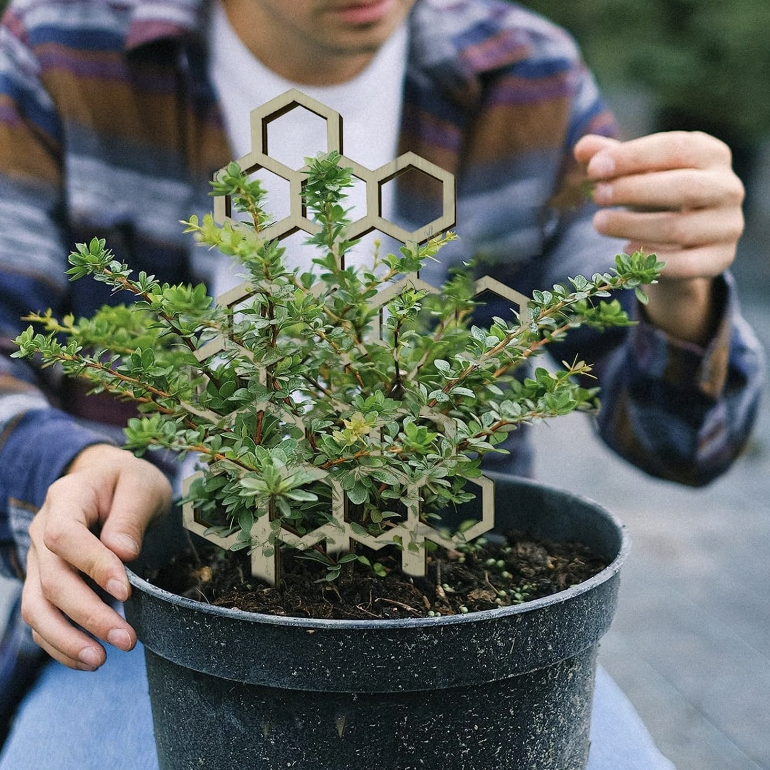 58% off on GardenTools 3x Plant Support Racks | OneDayOnly