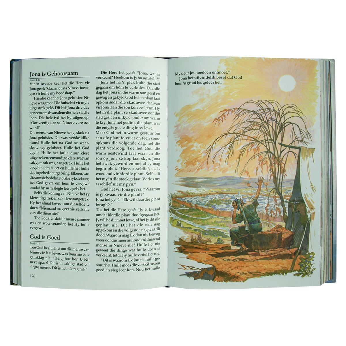 Story　Book　off　30%　The　Bible　on　Children's　OneDayOnly