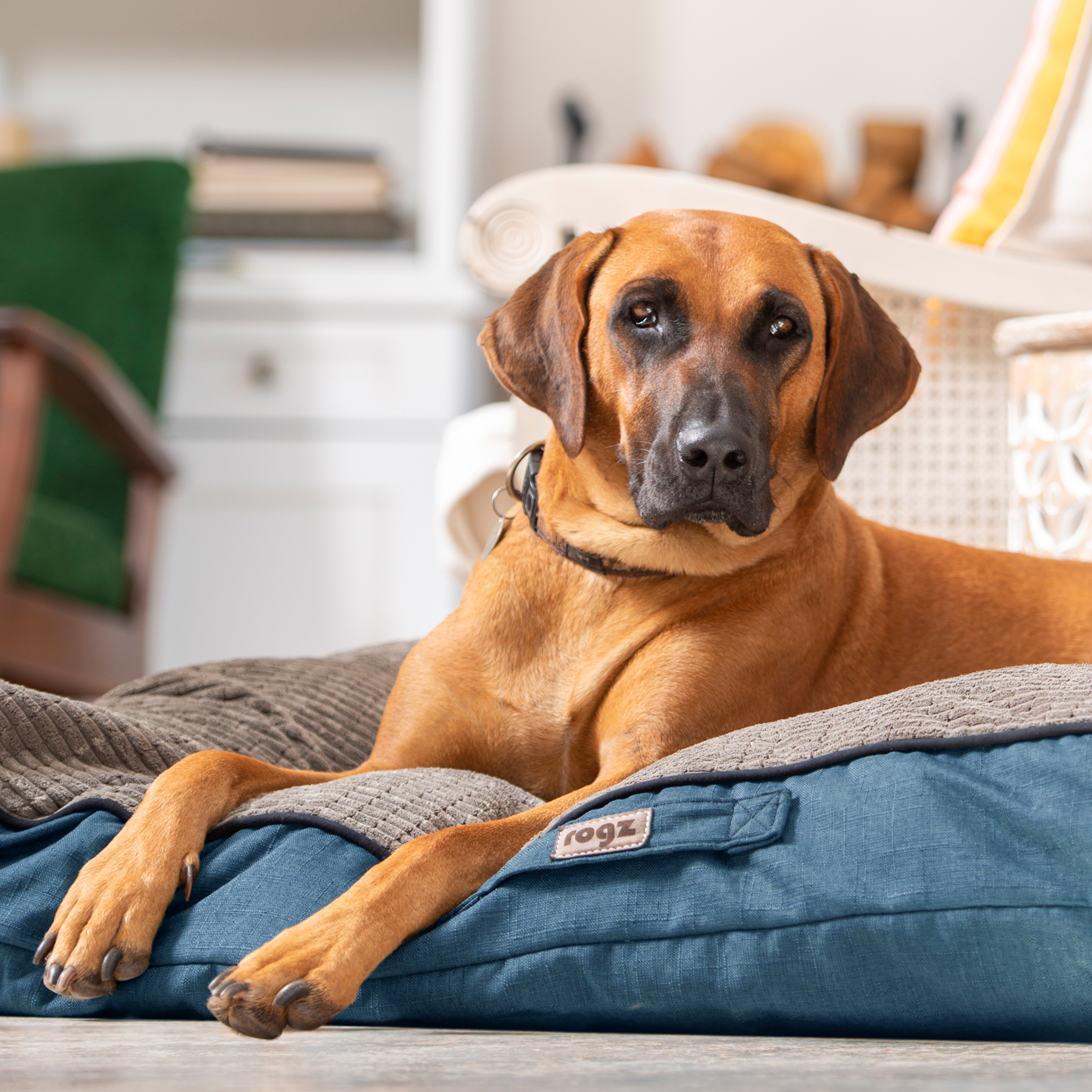 SA's best daily deals OneDayOnly