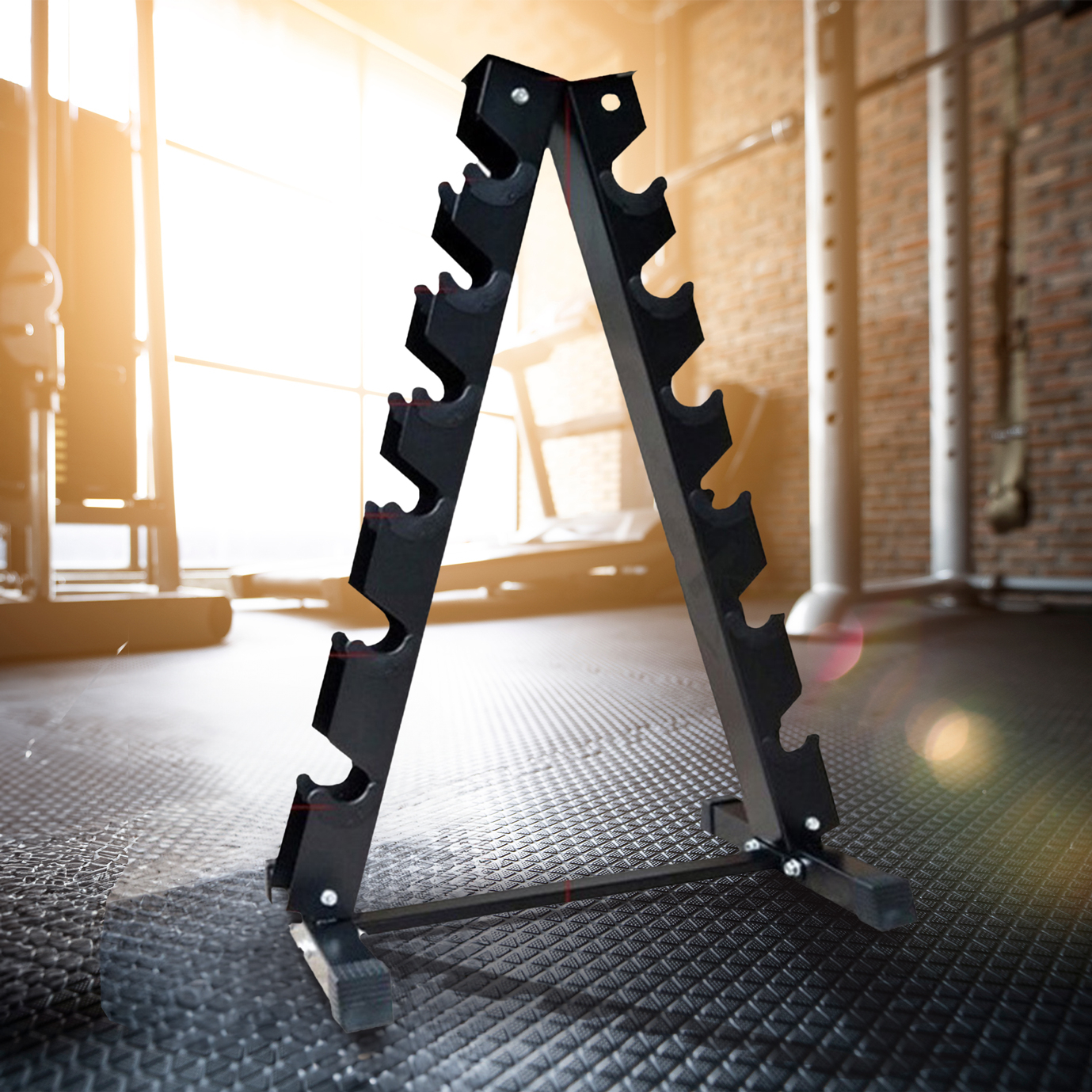 6-Tier Dumbbell Rack