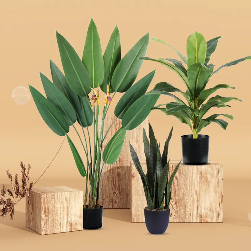 Styling illustration (Not all options available)