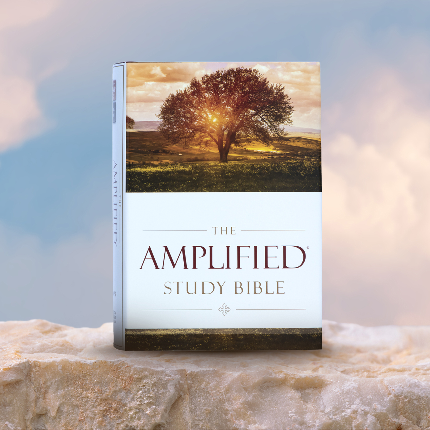 Amplified Study Bible Large Print (Hardcover)