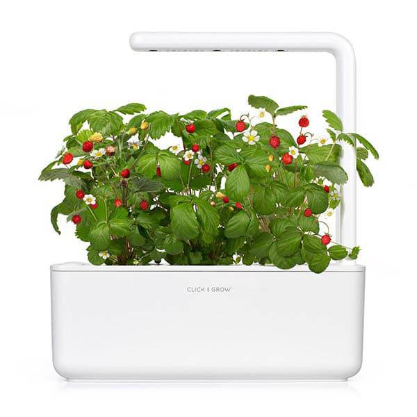 Smart Garden 3 (White)