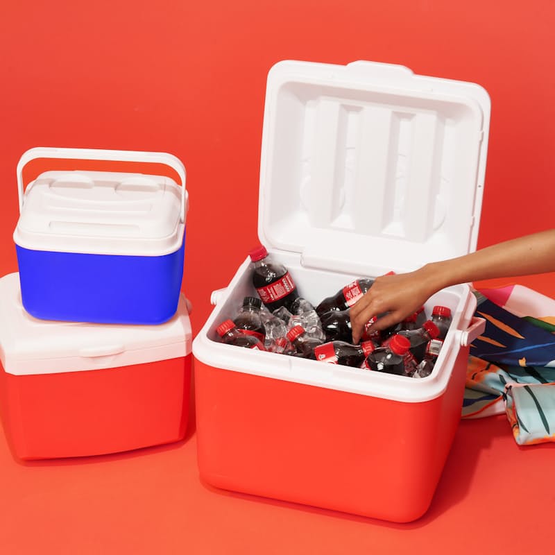 Cheapest 2024 cool box