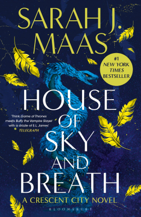 30% off on Sarah J. Maas Crescent City Series | OneDayOnly