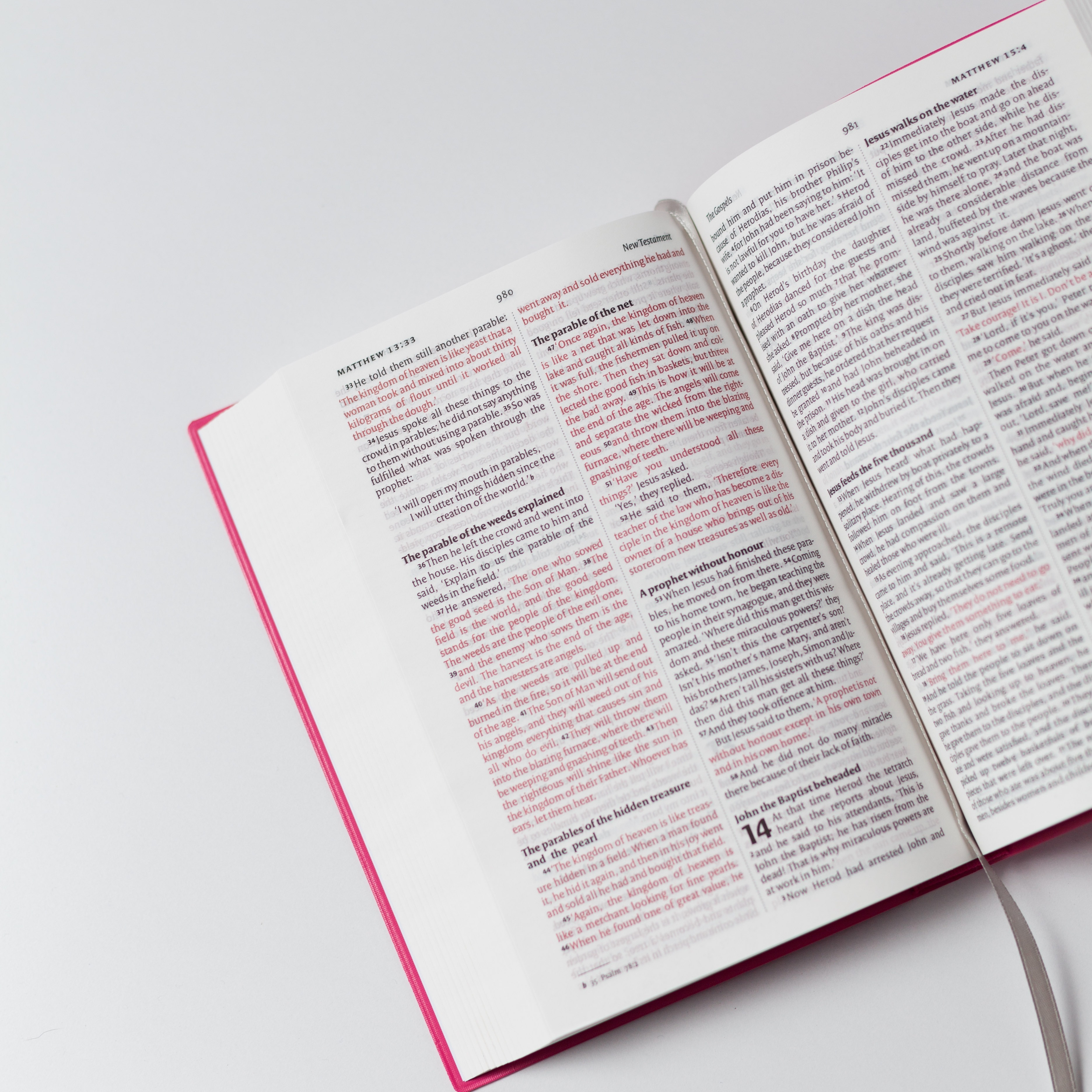 34% off on NIV Vinyl Cerise Pink Bible | OneDayOnly