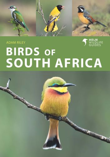 23% off on Adam Riley Birds Of South Africa | OneDayOnly