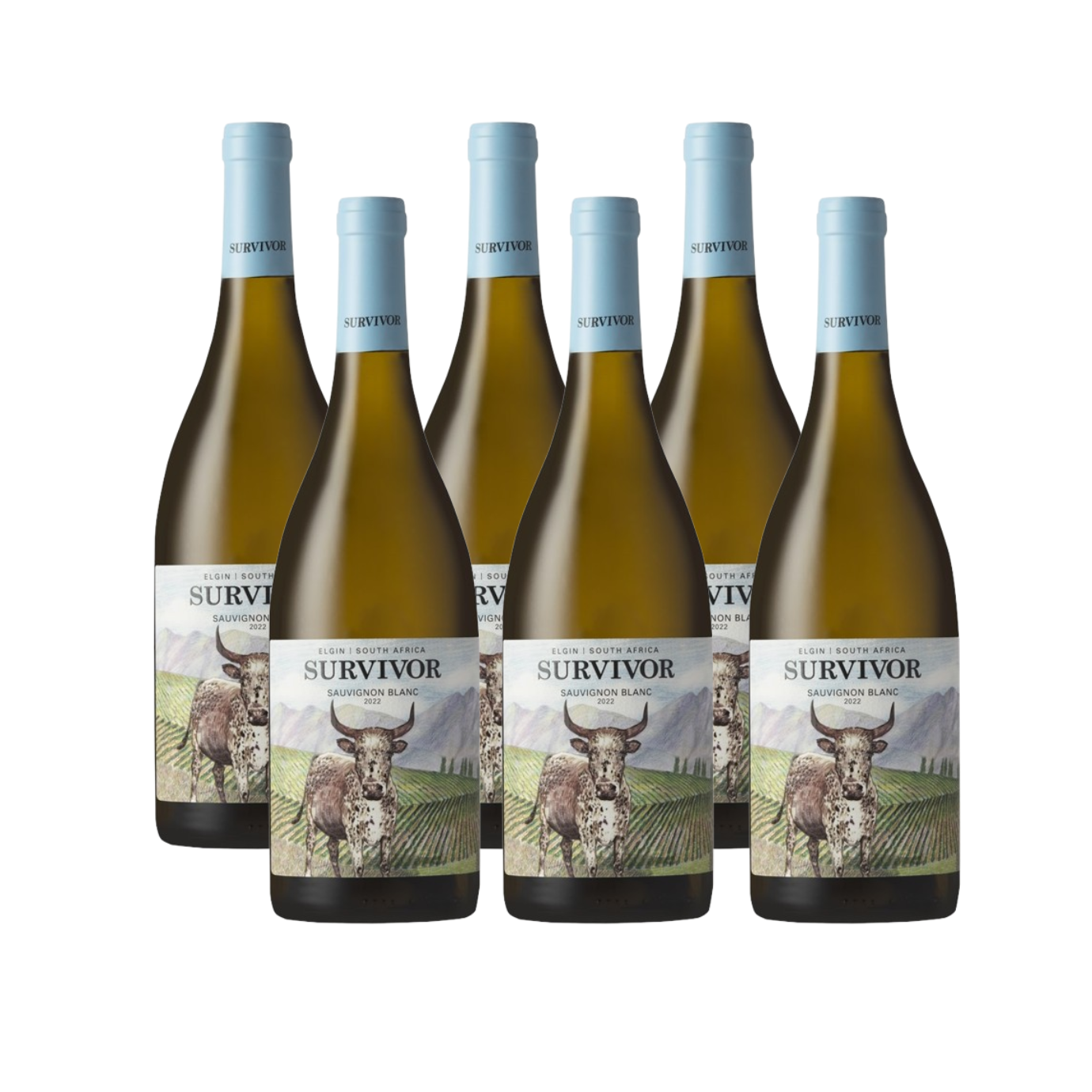 Sauvignon Blanc