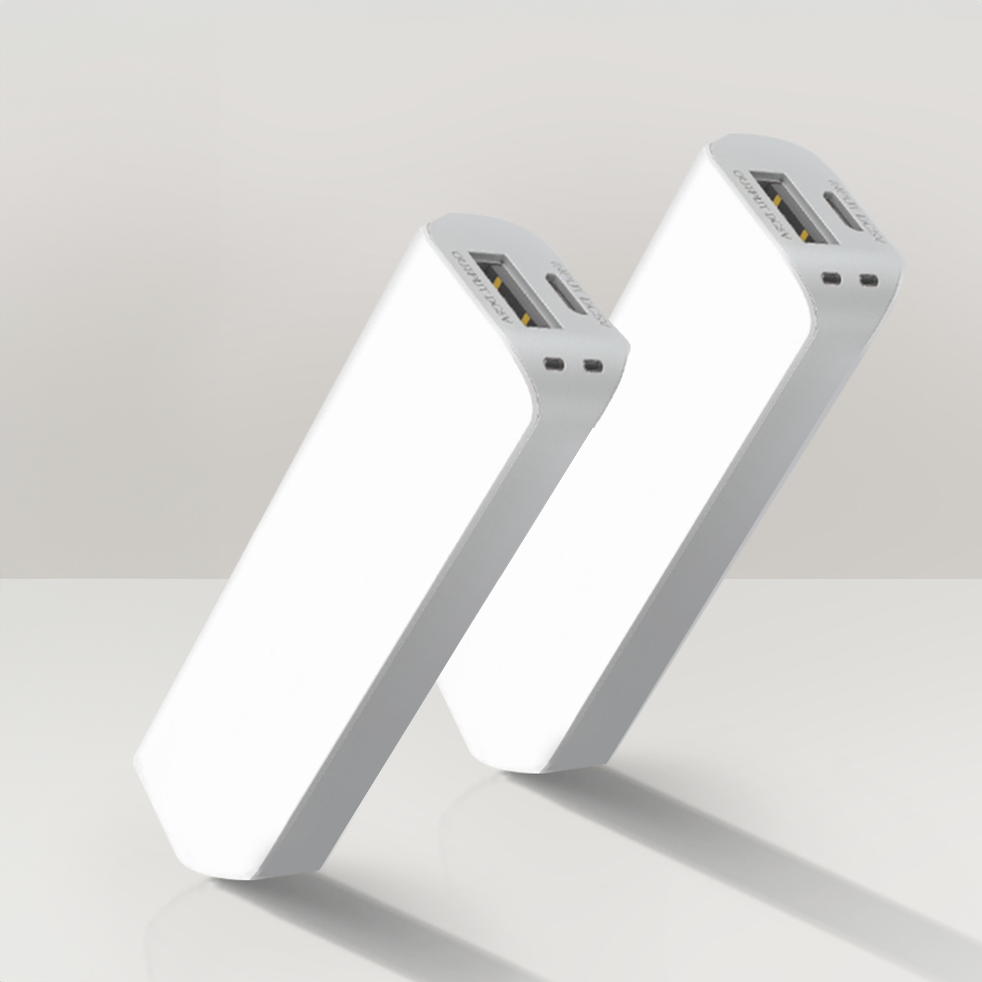 2x 3000mAh X-Small Power Banks
