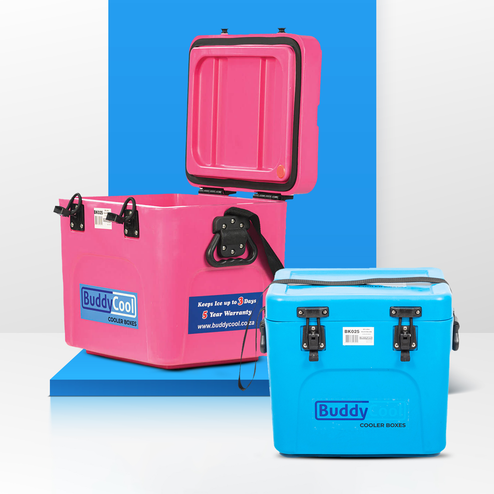 31 off on BuddyCool 2x 25L Medium Cooler Boxes OneDayOnly