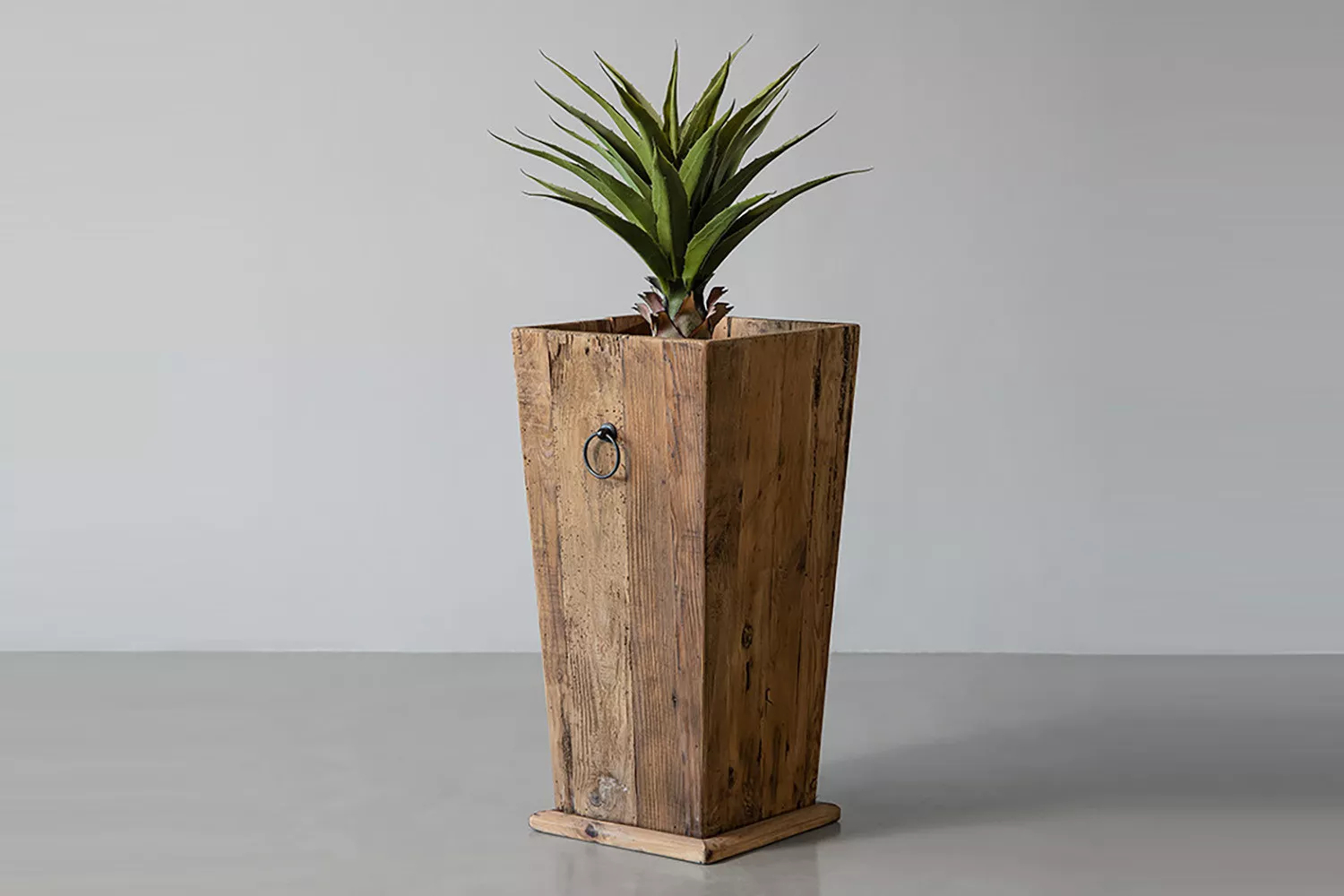 Plant not Included