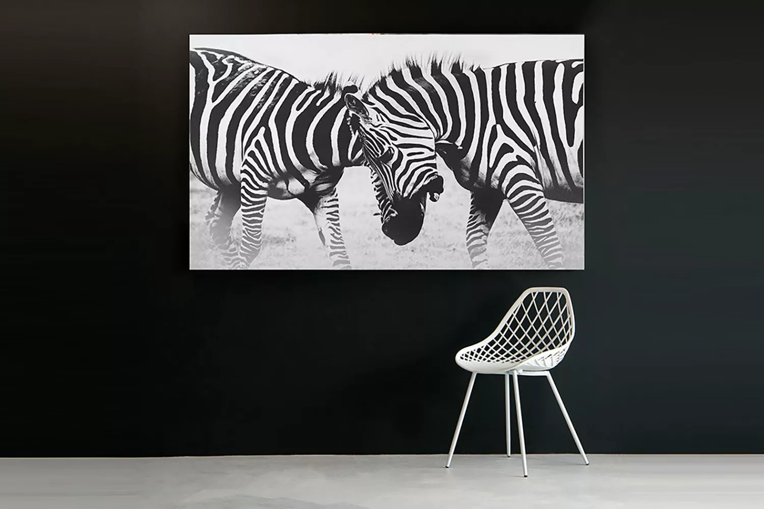 Zebra Fight