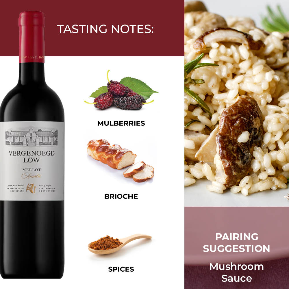 Www Alhudapk Loca Tour Wine Valley Winery Camel Trail Winery 2025