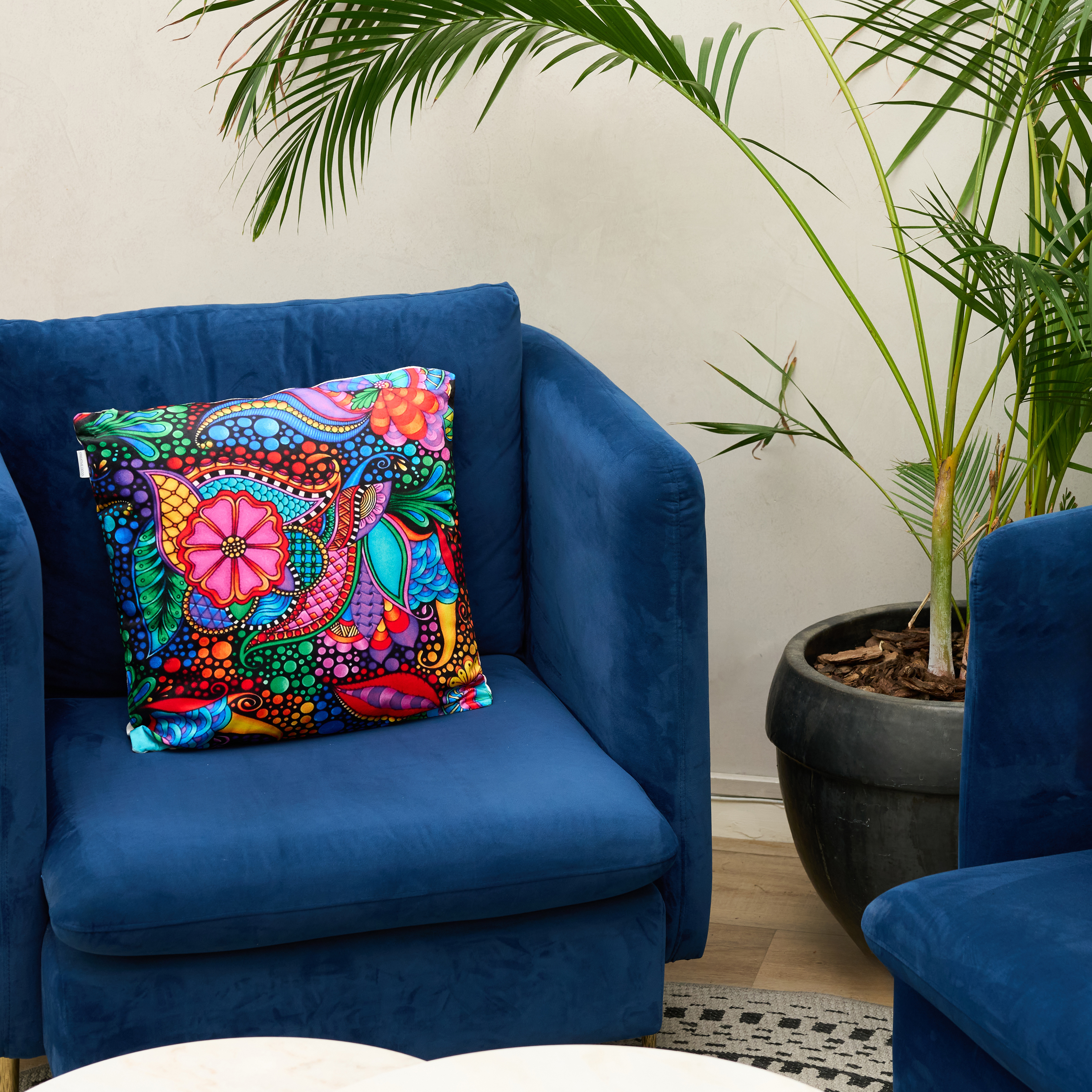 36 off on 3x Velvet Cushions with Filling OneDayOnly