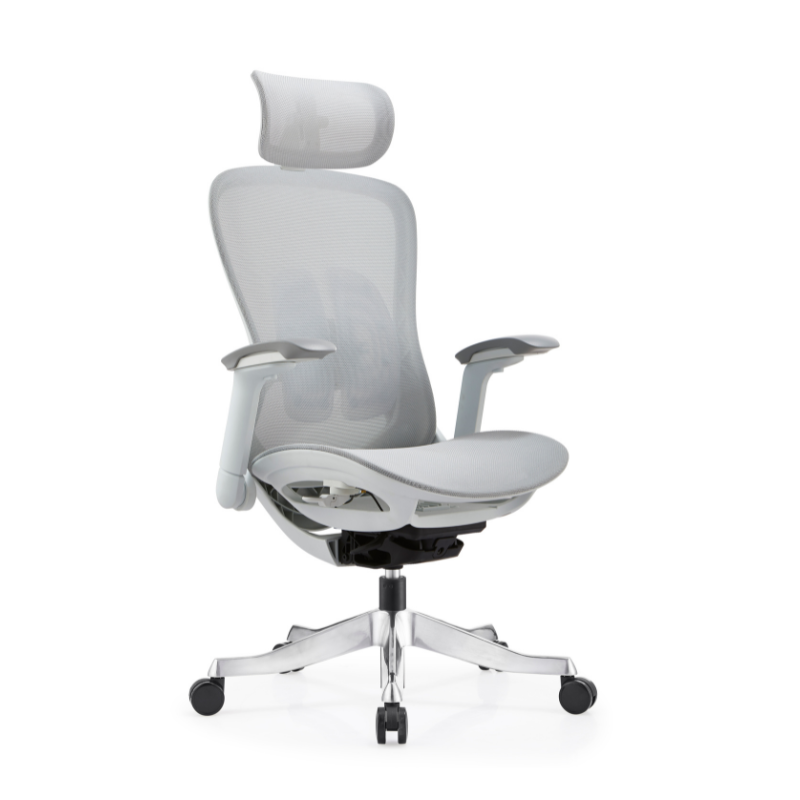 Ergonomic Wunder Office Chair