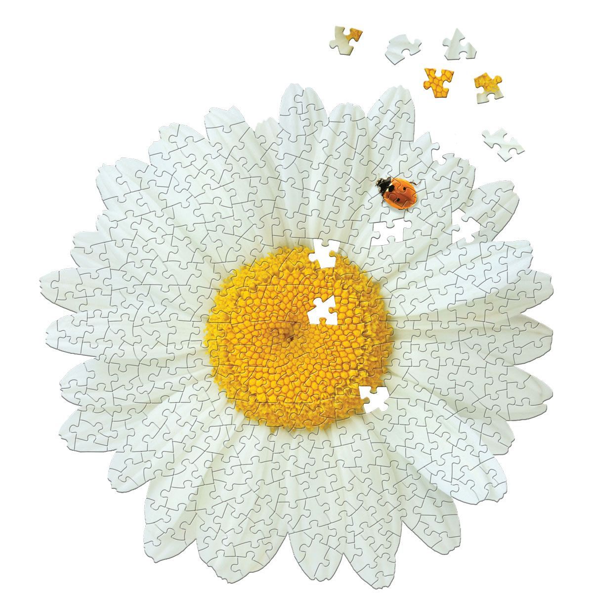 I Am Daisy