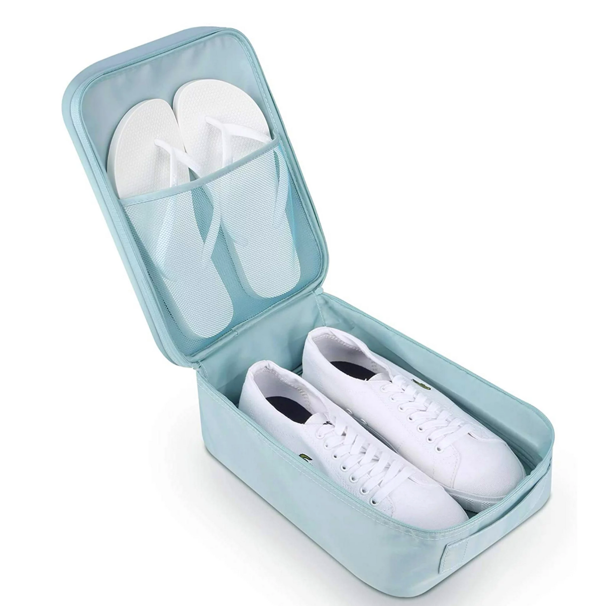 Turquoise (Includes 2)