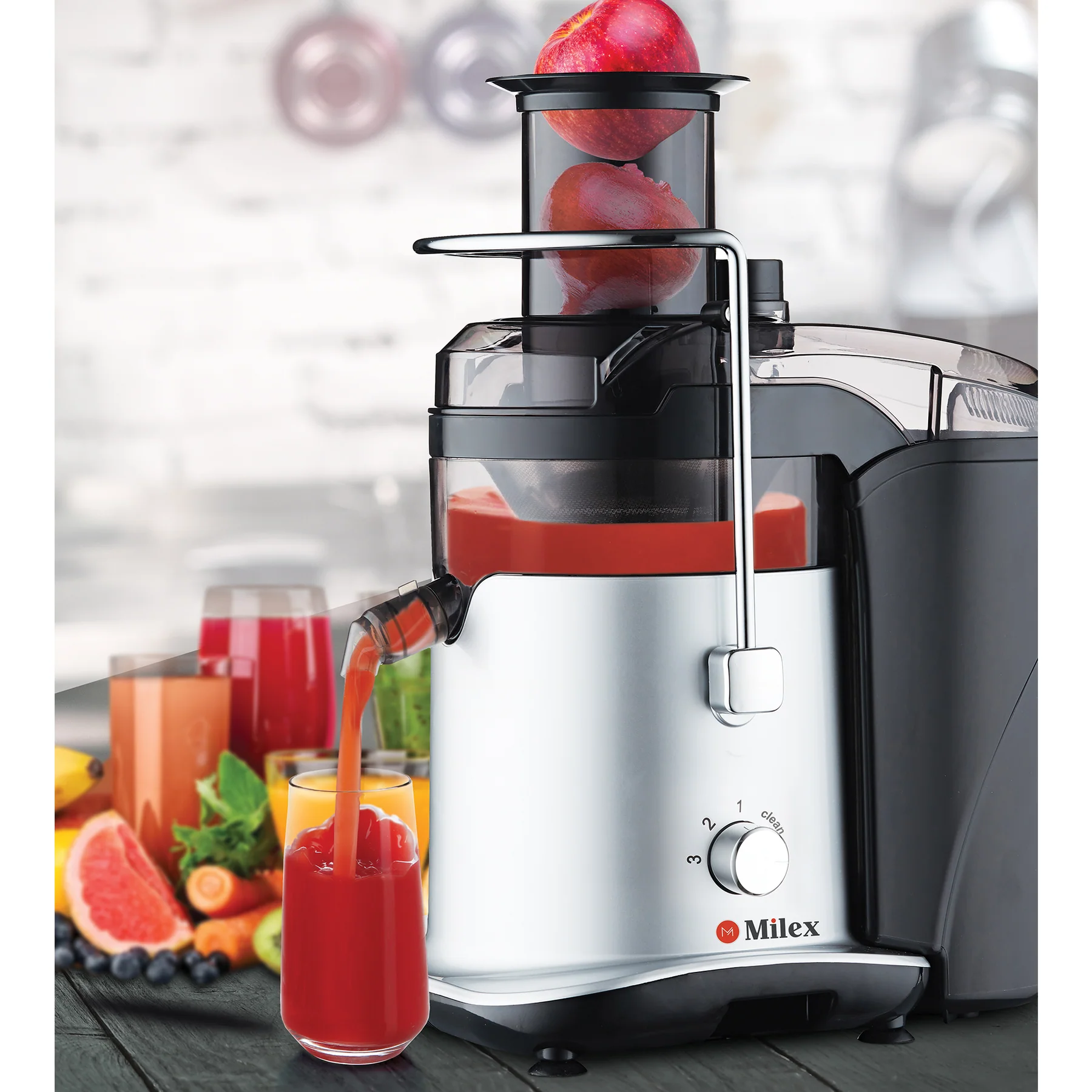 20% off on Power Juicer & 7 Day Detox Plan | OneDayOnly
