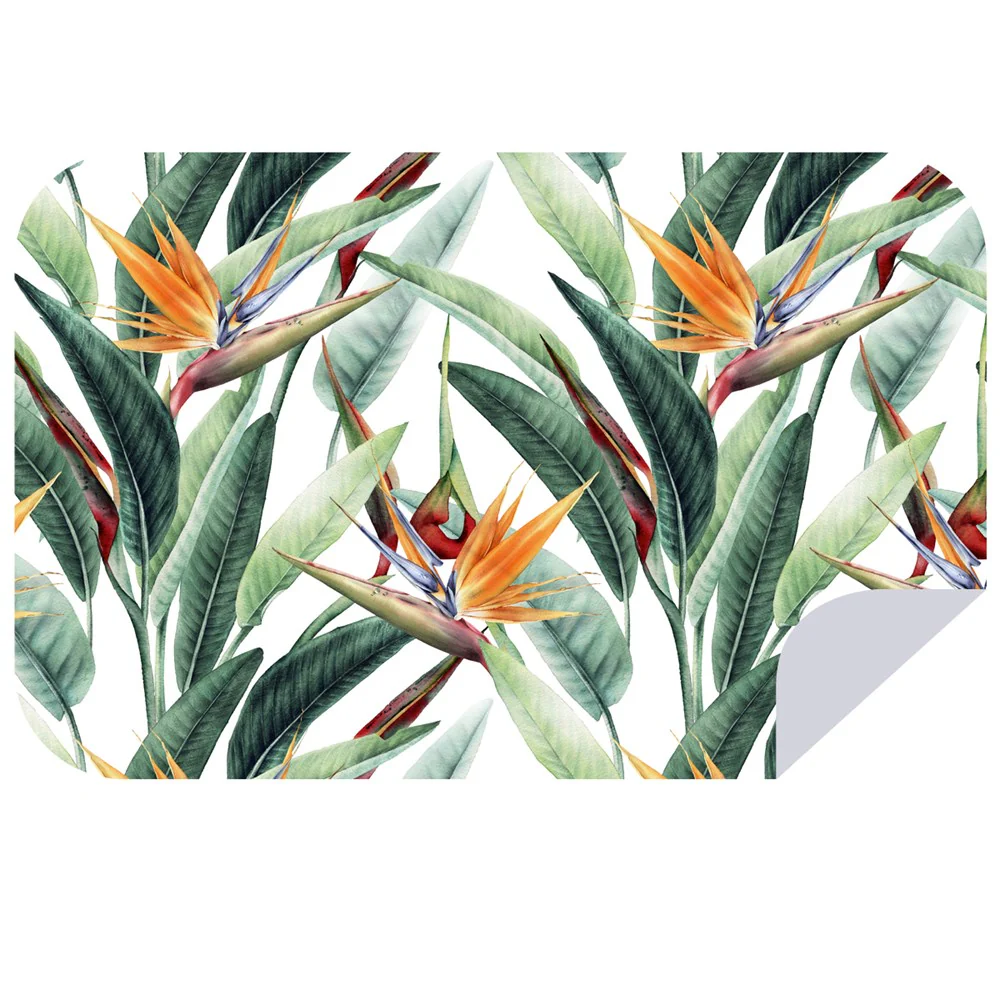 Strelitzia Softs