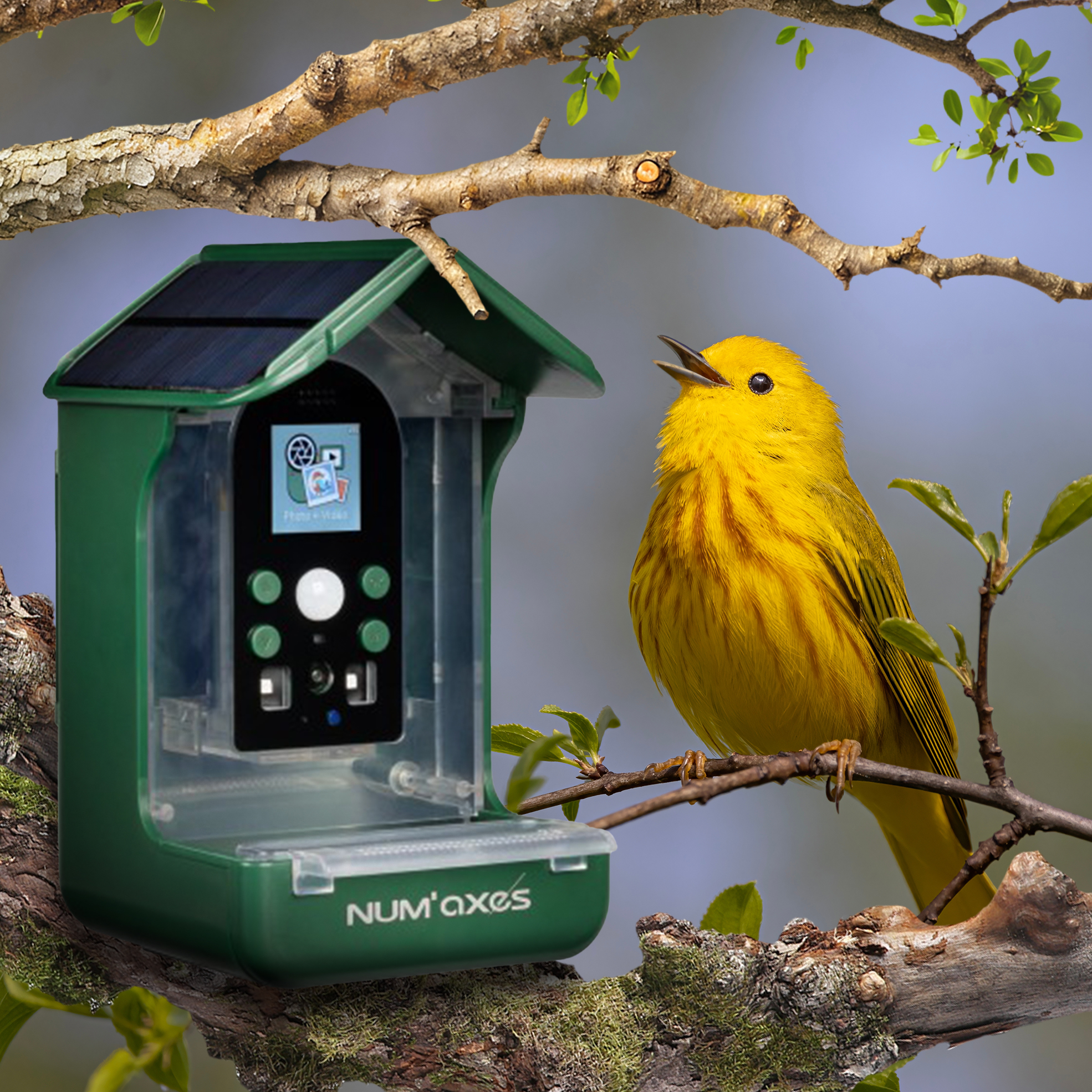 12MP No Glow Bird Feeder Trail Camera