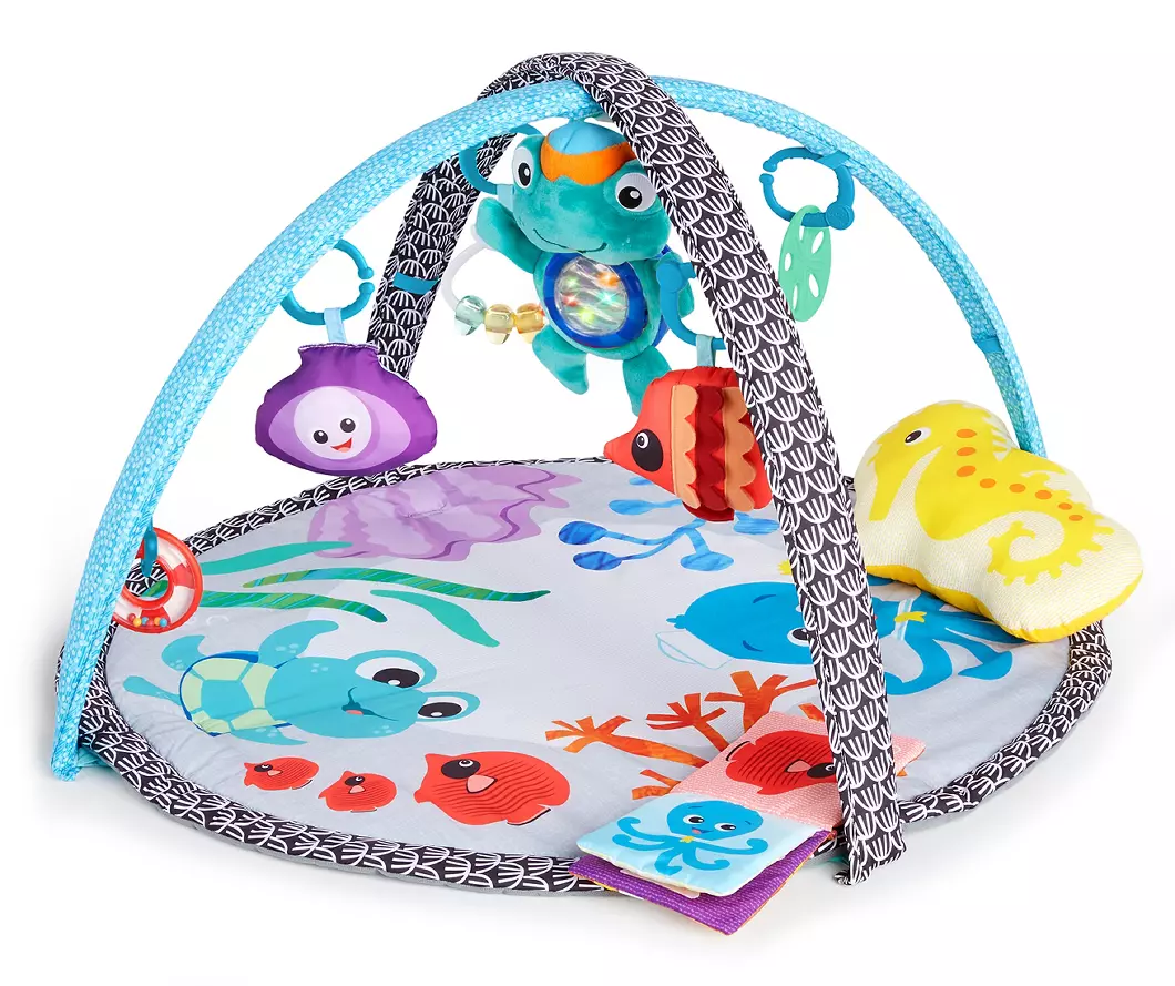Baby Play Gym