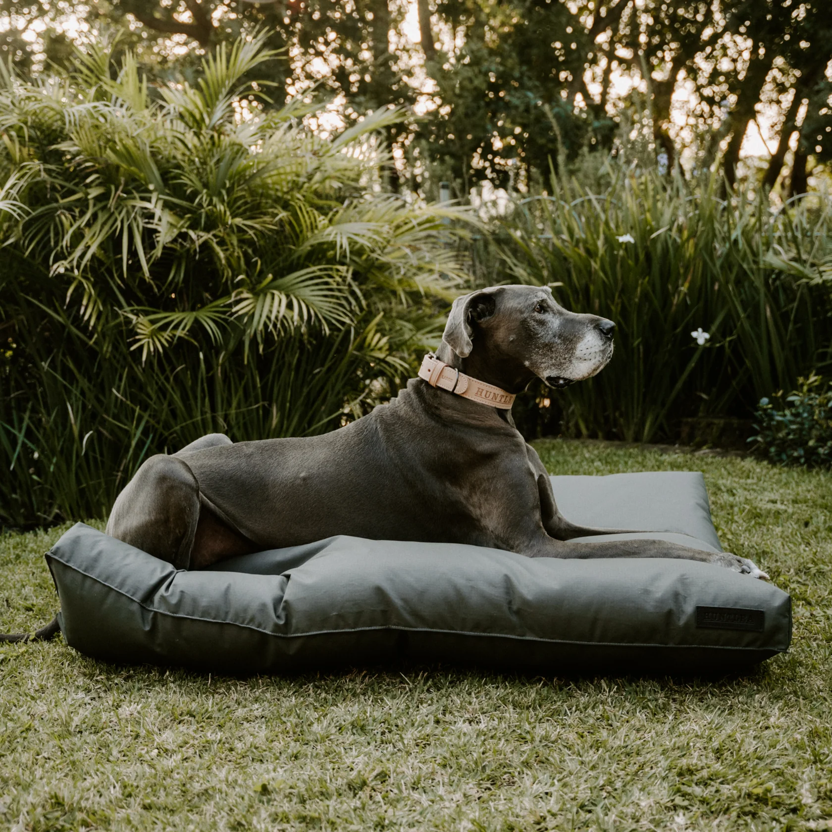 Kalahari Napper Dog Bed