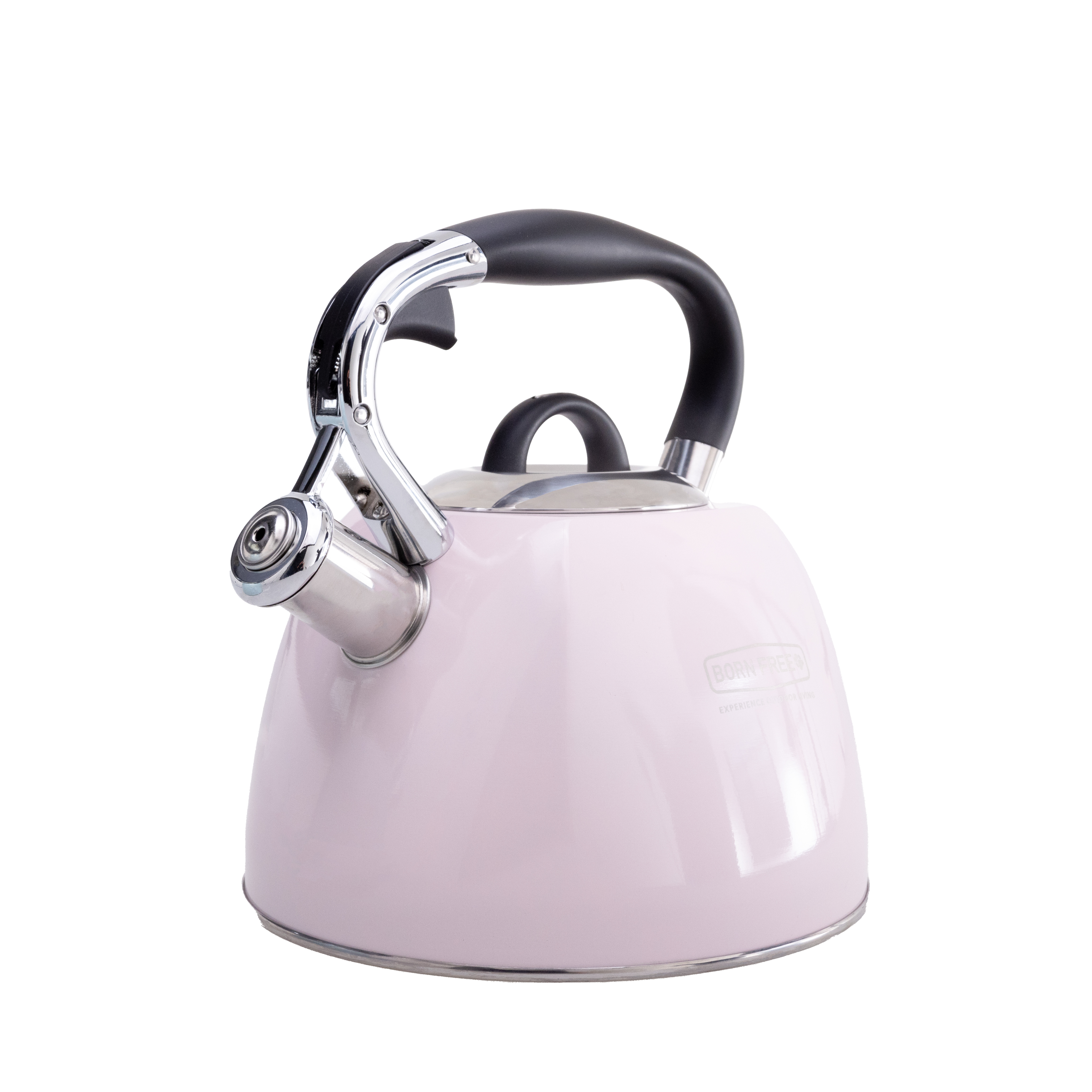 Stainless Steel Whistling Kettle