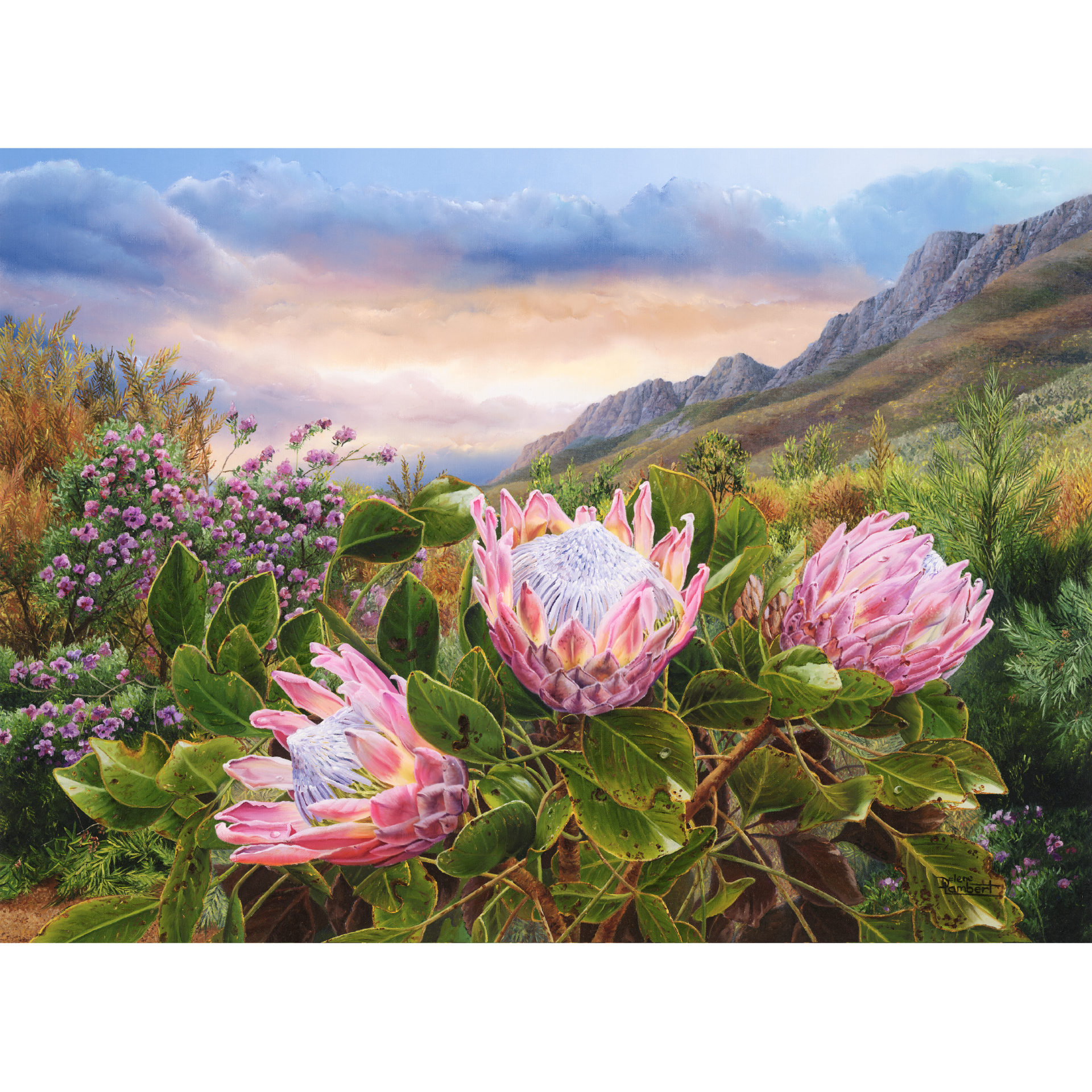 29% off on Smart Thinking Colourful Puzzles | OneDayOnly