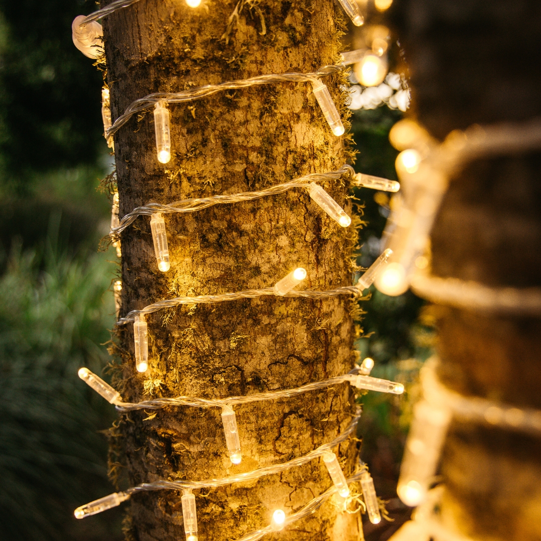 40 off on 20m Warm White 200 LED Fairy Lights OneDayOnly