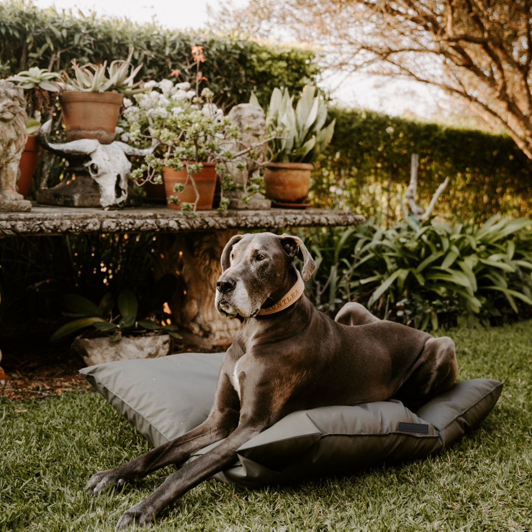 35 off on Huntlea Kalahari Pillow Dog Bed OneDayOnly