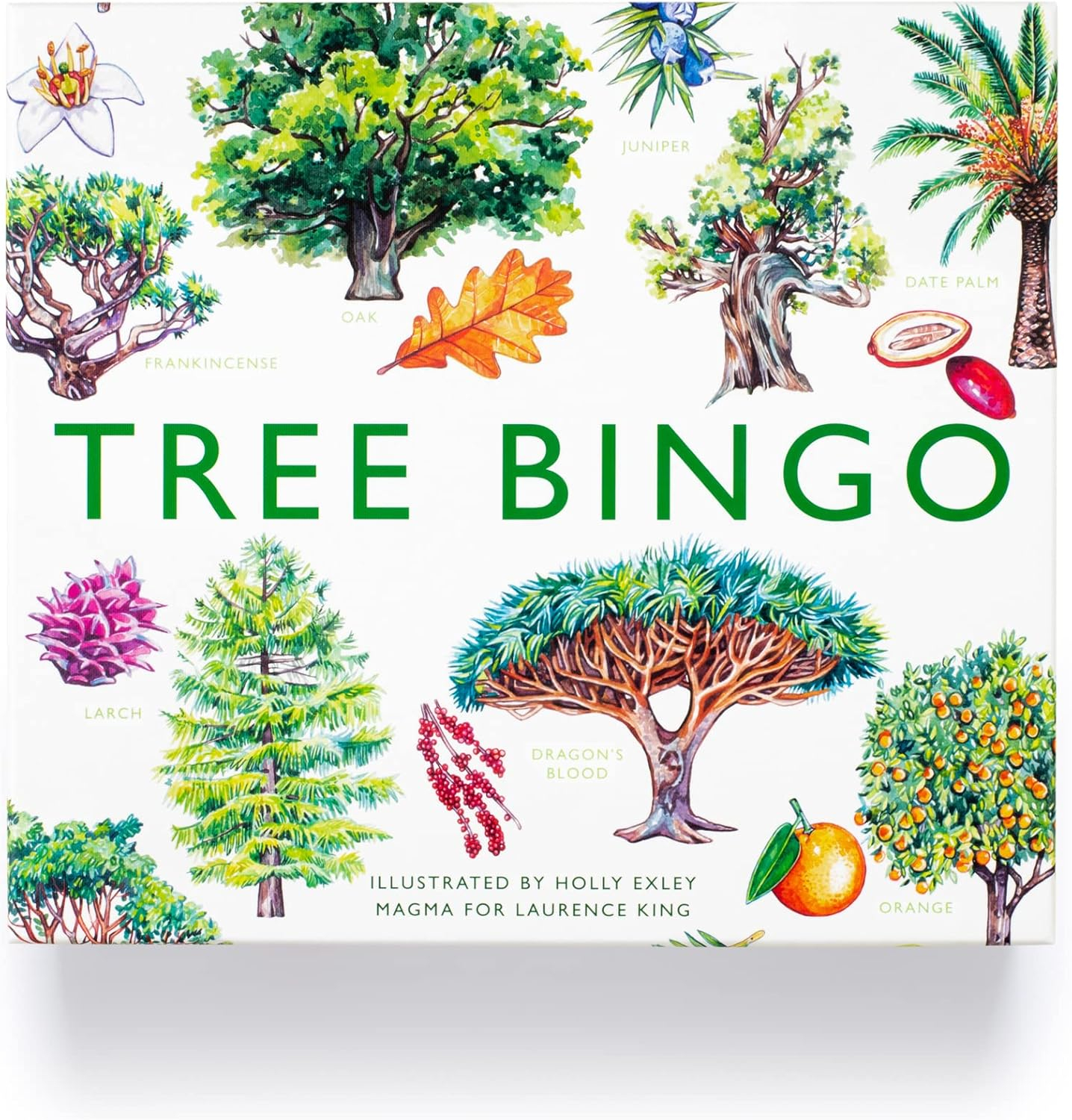 20% off on Tree Bingo Traditional Bingo Game | OneDayOnly