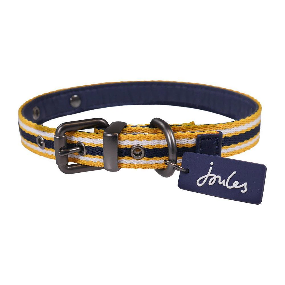 37% off on Joules Dog Leather Collar Lead Set OneDayOnly