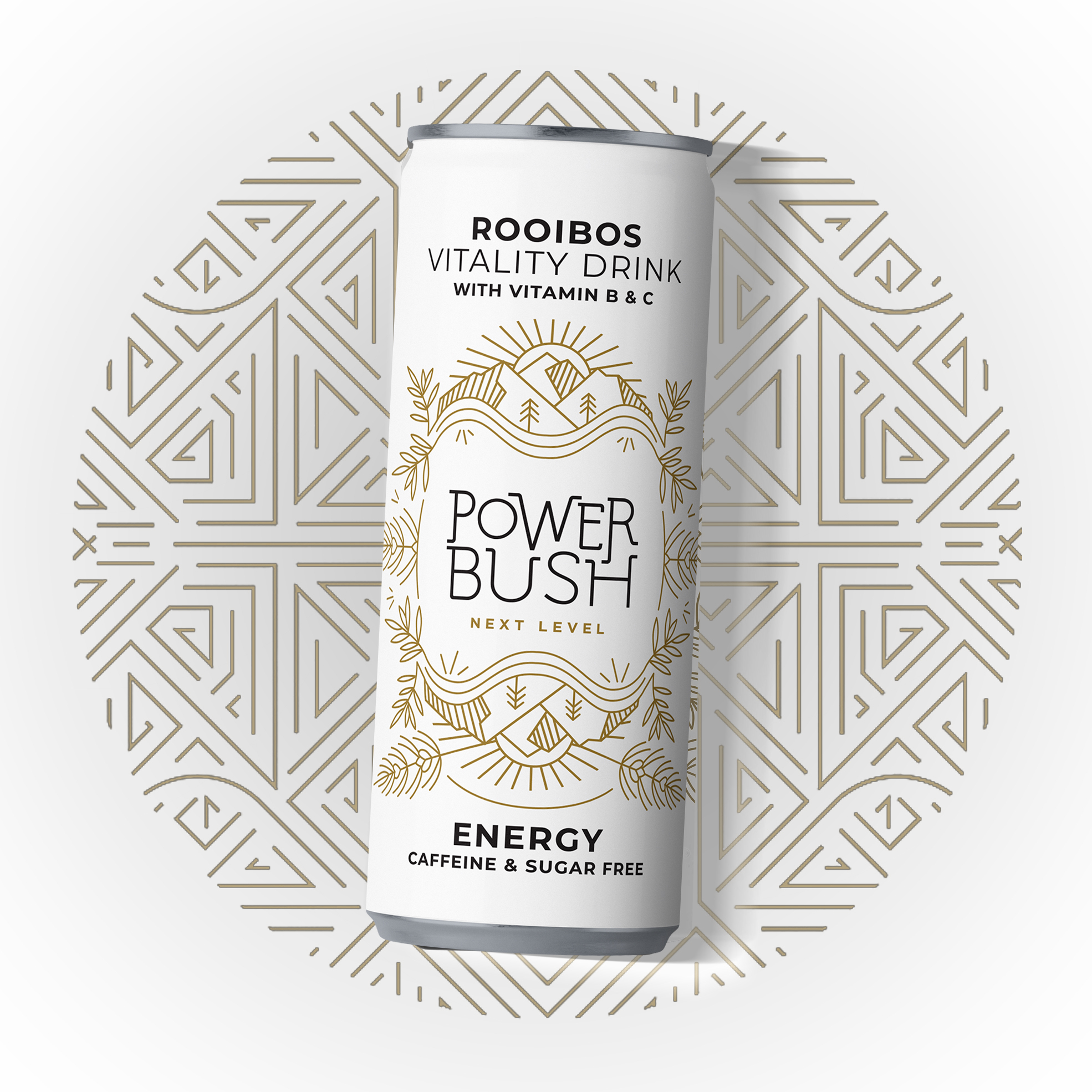 34% off on 12x 250ml Rooibos Energy Drinks | OneDayOnly