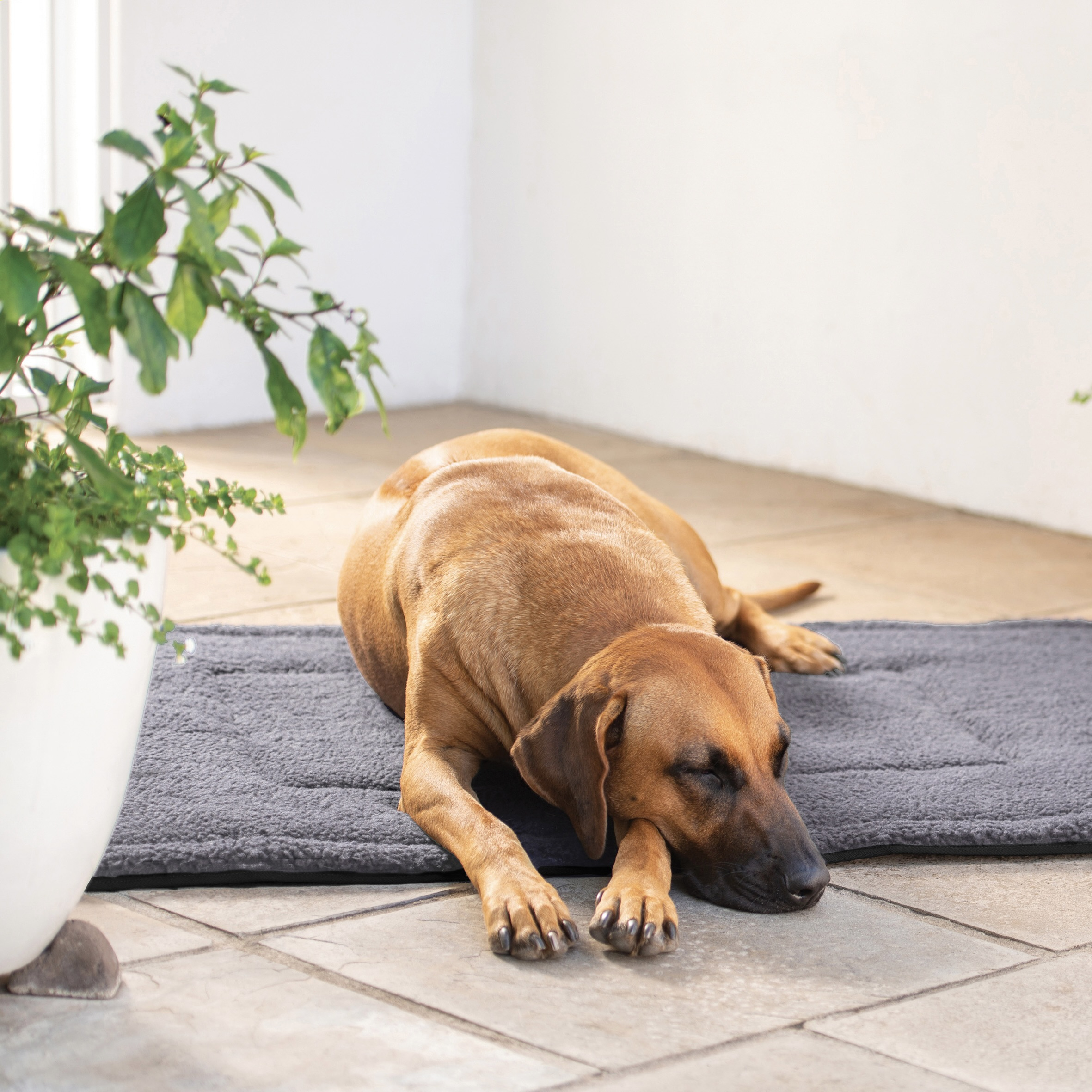 Colour not availible