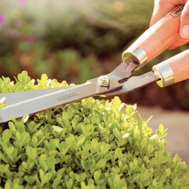 Hedge Shears with Wooden Handle