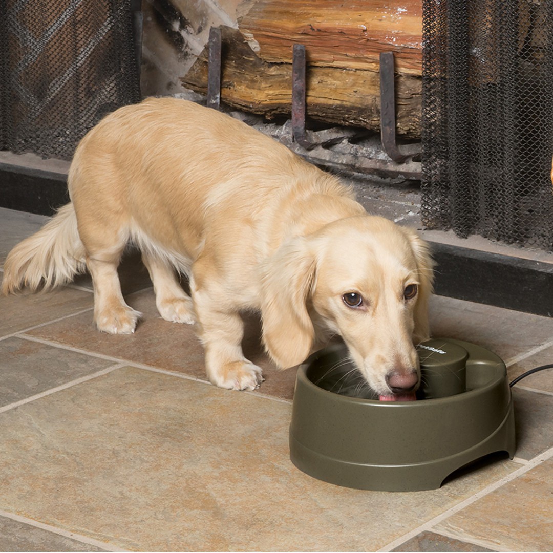 Drinkwell Pet Water Current Fountain