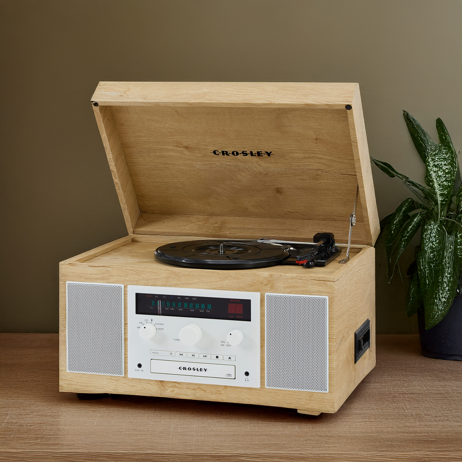 5-in-1 Haydn Entertainment System