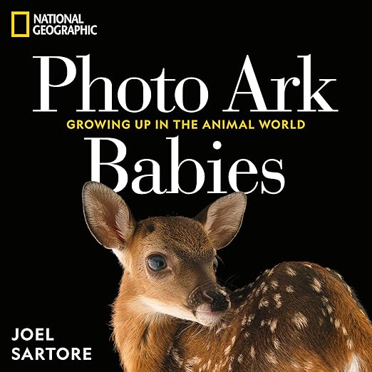 Photo Ark Babies (Hardcover)