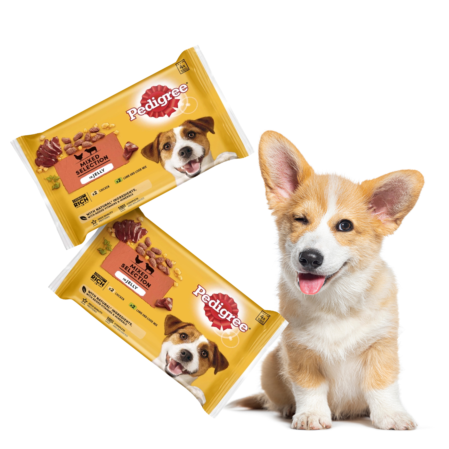 2x 4's 100g Multipack Wet Dog Food