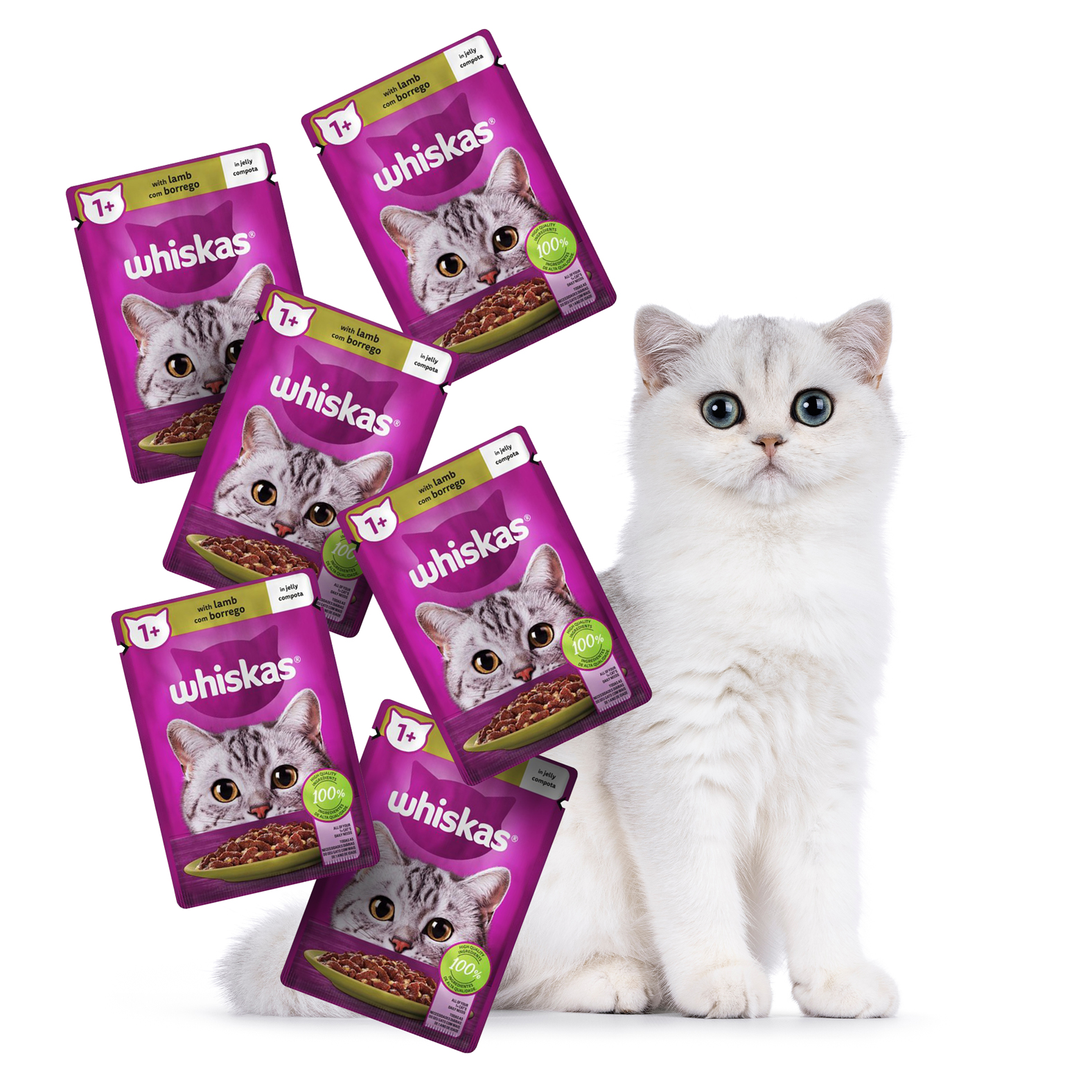 6x 85g Single Pouch Adult Wet Food