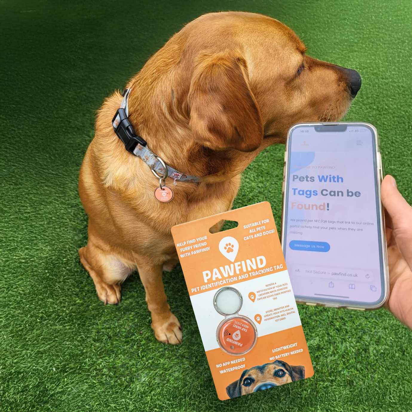 Pet Tracking & ID Tag