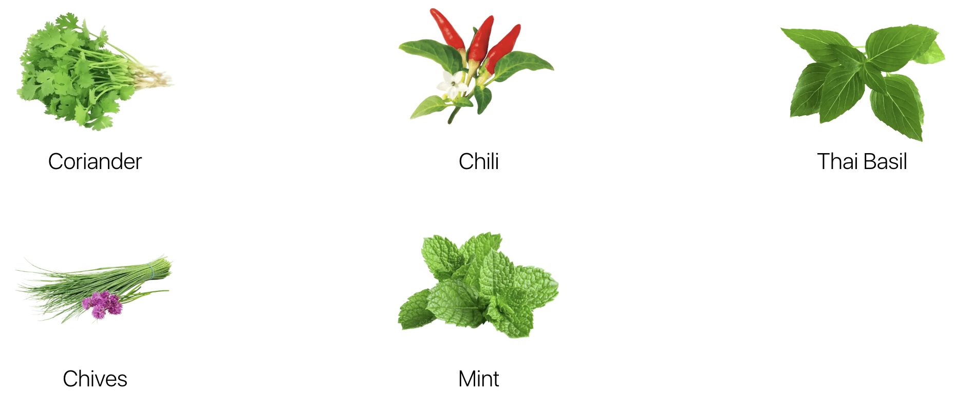 Asian Herb Mix