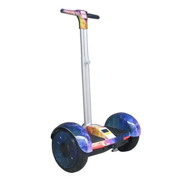 V8 10" Segway