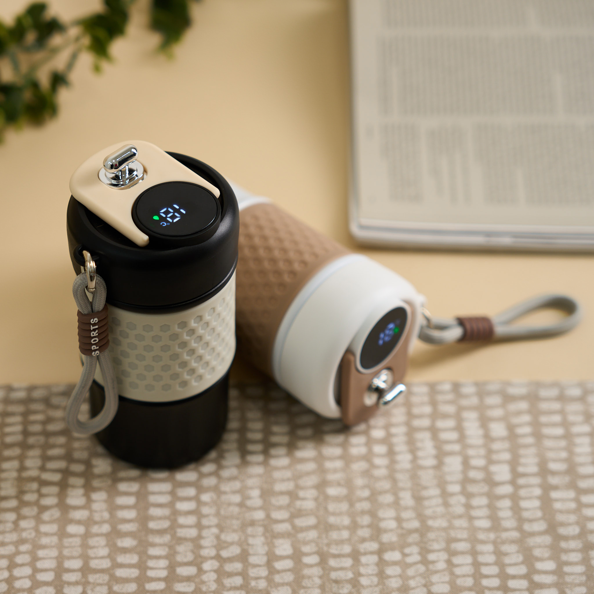 Functionality illustration (Colours not available)