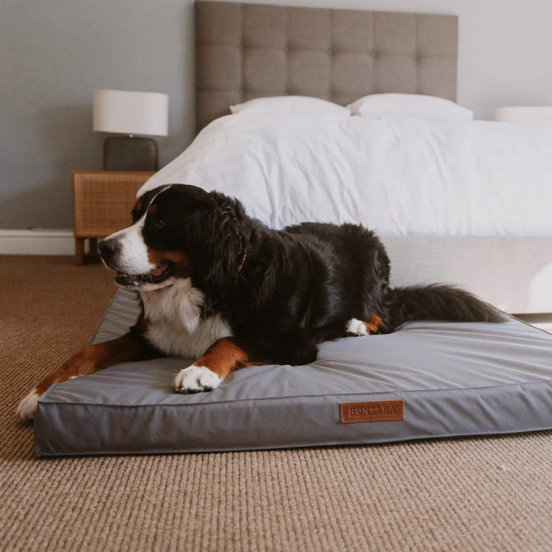 Koletto Memory Foam Mattress Bed